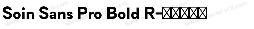 Soin Sans Pro Bold R字体转换